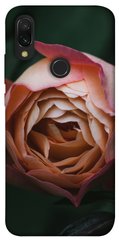 Чехол для Xiaomi Redmi 7 PandaPrint Роза остин цветы