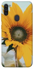 Чехол для Samsung Galaxy M11 PandaPrint Подсолнух цветы