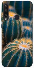 Чехол для Huawei Y6p PandaPrint Кактусы цветы