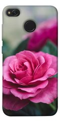 Чехол для Xiaomi Redmi 4X PandaPrint Роза в саду цветы