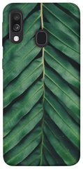 Чохол для Samsung Galaxy A40 (A405F) PandaPrint Пальмовий лист квіти