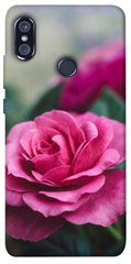 Чехол для Xiaomi Redmi Note 5 Pro PandaPrint Роза в саду цветы