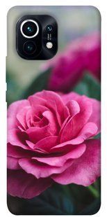 Чехол для Xiaomi Mi 11 PandaPrint Роза в саду цветы