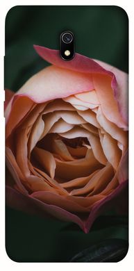 Чехол для Xiaomi Redmi 8a PandaPrint Роза остин цветы