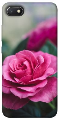 Чехол для Xiaomi Redmi 6A PandaPrint Роза в саду цветы