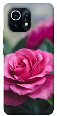 Чехол для Xiaomi Mi 11 PandaPrint Роза в саду цветы