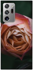 Чехол для Samsung Galaxy Note 20 Ultra PandaPrint Роза остин цветы