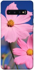 Чехол для Samsung Galaxy S10 PandaPrint Розовая ромашка цветы