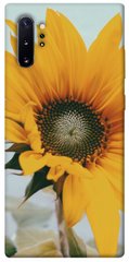 Чехол для Samsung Galaxy Note 10 Plus PandaPrint Подсолнух цветы