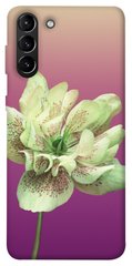 Чехол для Samsung Galaxy S21+ PandaPrint Розовый пурпур цветы