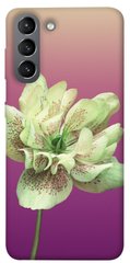 Чехол для Samsung Galaxy S21 PandaPrint Розовый пурпур цветы