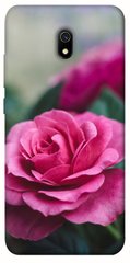 Чехол для Xiaomi Redmi 8a PandaPrint Роза в саду цветы