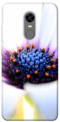 Чехол для Xiaomi Redmi 5 Plus PandaPrint Полевой цветок цветы