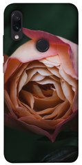Чехол для Xiaomi Redmi Note 7 / Note 7 Pro / Note 7s PandaPrint Роза остин цветы