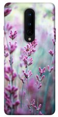 Чехол для OnePlus 8 PandaPrint Лаванда 2 цветы