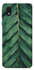 Чехол для Samsung Galaxy M01 Core / A01 Core PandaPrint Пальмовый лист цветы