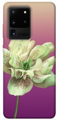 Чехол для Samsung Galaxy S20 Ultra PandaPrint Розовый пурпур цветы