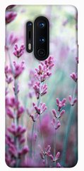 Чехол для OnePlus 8 Pro PandaPrint Лаванда 2 цветы