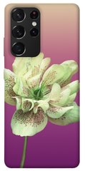 Чехол для Samsung Galaxy S21 Ultra PandaPrint Розовый пурпур цветы