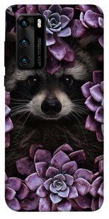 Чохол для Huawei P40 PandaPrint Єнот в кольорах квіти