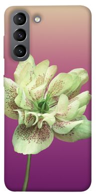 Чехол для Samsung Galaxy S21 PandaPrint Розовый пурпур цветы