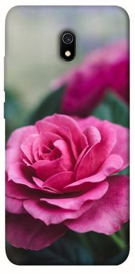 Чохол для Xiaomi Redmi 8a PandaPrint Роза в саду квіти