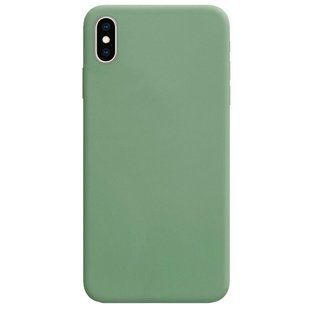 Силиконовый чехол Candy для Apple iPhone X / XS (5.8"") Фисташковый