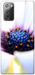 Чехол для Samsung Galaxy Note 20 PandaPrint Полевой цветок цветы
