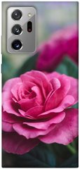 Чехол для Samsung Galaxy Note 20 Ultra PandaPrint Роза в саду цветы