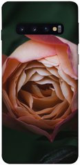 Чехол для Samsung Galaxy S10 PandaPrint Роза остин цветы