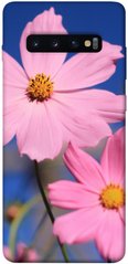 Чехол для Samsung Galaxy S10+ PandaPrint Розовая ромашка цветы