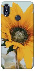 Чехол для Xiaomi Redmi Note 5 Pro PandaPrint Подсолнух цветы