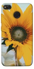 Чохол для Xiaomi Redmi 4X PandaPrint Соняшник квіти