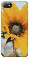 Чохол для Xiaomi Redmi 6A PandaPrint Соняшник квіти