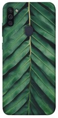 Чехол для Samsung Galaxy M11 PandaPrint Пальмовый лист цветы