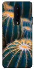 Чехол для OnePlus 8 PandaPrint Кактусы цветы