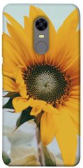 Чохол для Xiaomi Redmi 5 Plus PandaPrint Соняшник квіти