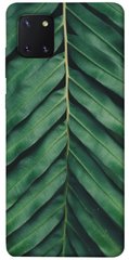 Чехол для Samsung Galaxy Note 10 Lite (A81) PandaPrint Пальмовый лист цветы