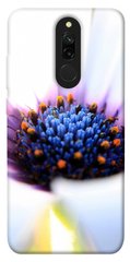 Чехол для Xiaomi Redmi 8 PandaPrint Полевой цветок цветы
