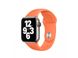 Силиконовый ремешок для Apple watch 42mm / 44mm (Оранжевый / Kumquat)