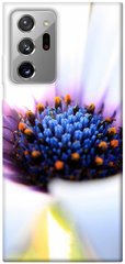 Чехол для Samsung Galaxy Note 20 Ultra PandaPrint Полевой цветок цветы