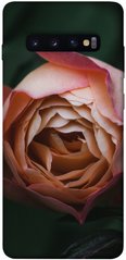 Чехол для Samsung Galaxy S10+ PandaPrint Роза остин цветы
