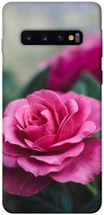 Чехол для Samsung Galaxy S10 PandaPrint Роза в саду цветы