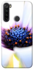 Чехол для Xiaomi Redmi Note 8T PandaPrint Полевой цветок цветы
