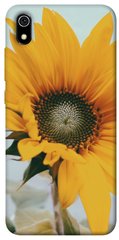Чохол для Xiaomi Redmi 7A PandaPrint Соняшник квіти