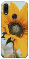 Чохол для Xiaomi Redmi 7 PandaPrint Соняшник квіти