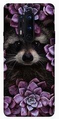 Чехол для OnePlus 8 Pro PandaPrint Енот в цветах цветы