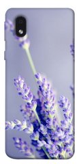 Чохол для Samsung Galaxy M01 Core / A01 Core PandaPrint Лаванда квіти
