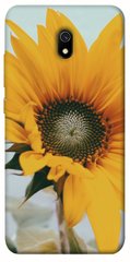 Чохол для Xiaomi Redmi 8a PandaPrint Соняшник квіти