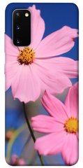 Чохол для Samsung Galaxy S20 PandaPrint Рожева ромашка квіти
